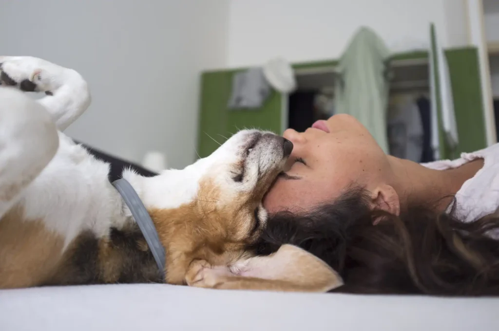 A woman lying on a bed, with a dog resting its muzzle on her head